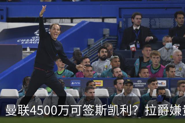 曼联4500万可签斯凯利？拉爵嫌贵已拒绝！但红魔仍未放弃追求霍尔