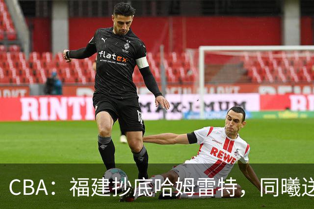 CBA：福建抄底哈姆雷特，同曦送走六人，江苏19岁中锋登陆西甲！